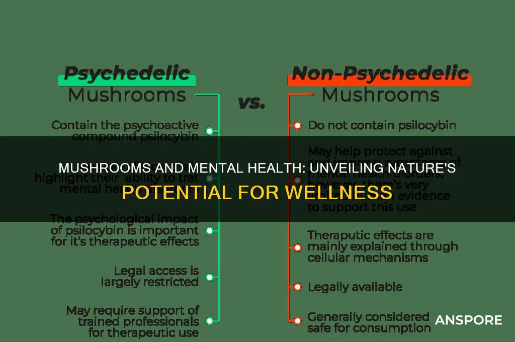 do mushrooms help with mental health