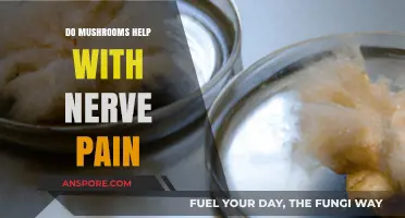 Mushrooms and Nerve Pain: Exploring Natural Relief Options