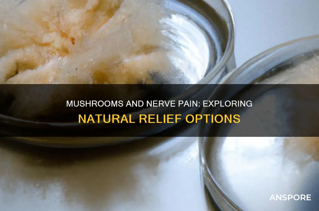 do mushrooms help with nerve pain