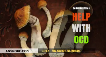 Mushrooms: A Natural Remedy for OCD?