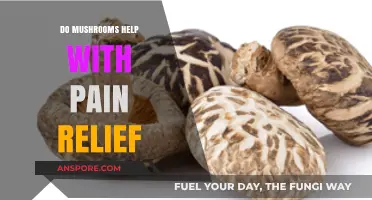 Mushrooms for Pain Relief: Exploring Their Natural Healing Potential