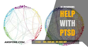 Mushrooms: A Natural Remedy for PTSD?