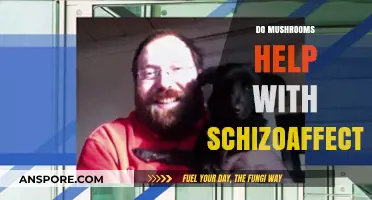 Mushrooms: A Natural Remedy for Schizoaffective Disorder?