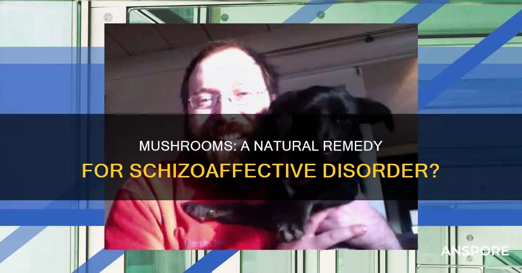 do mushrooms help with schizoaffective