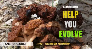 Mushrooms: Evolution's Friend or Foe?