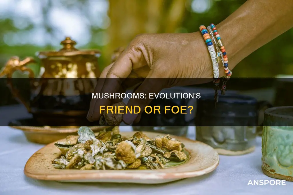do mushrooms help you evolve