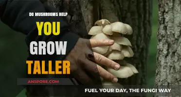 Can Mushrooms Boost Height Growth? Exploring the Science and Myths