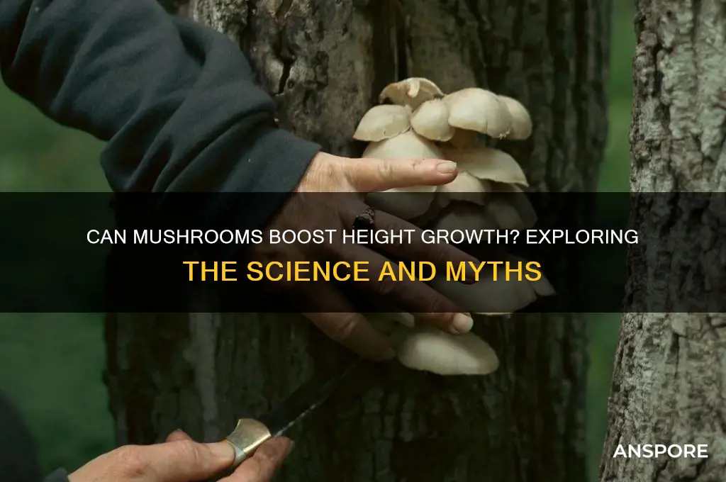 do mushrooms help you grow taller