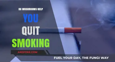 Can Mushrooms Be the Key to Quitting Smoking for Good?