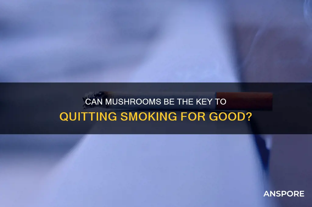 do mushrooms help you quit smoking