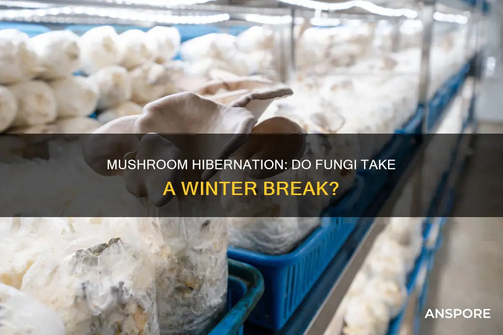 do mushrooms hibernate