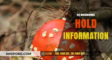 Mushrooms: Ancient Knowledge Banks?