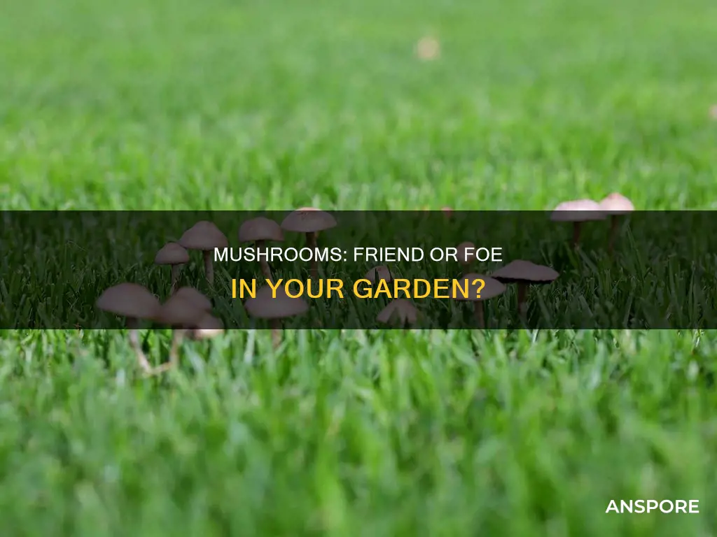 do mushrooms hurt your garden