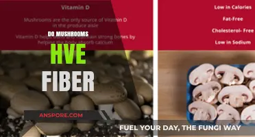 Mushrooms: A Surprising Source of Fiber?