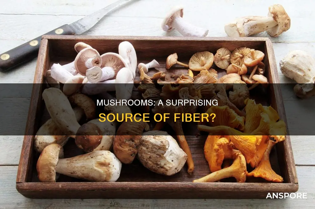 do mushrooms hve fiber