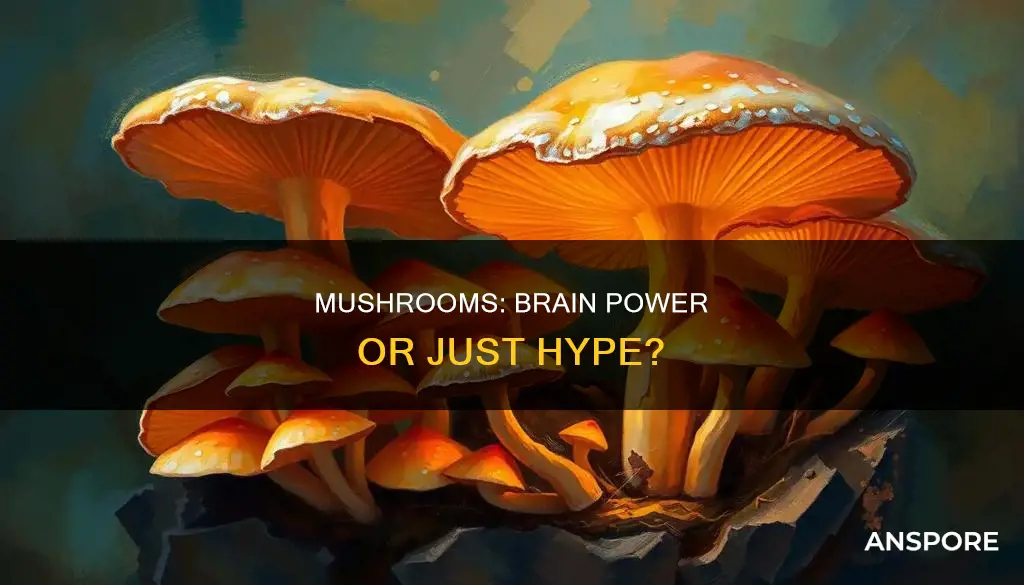 do mushrooms improve brain function