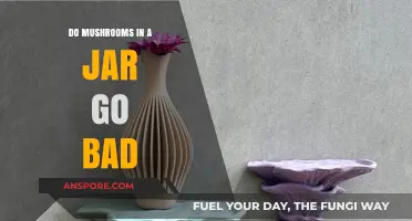 Do Mushrooms in a Jar Go Bad? Shelf Life Explained