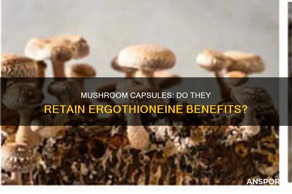 do mushrooms in capsules still contain ergothioneine