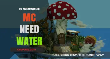 Do Minecraft Mushrooms Need Water? Essential Growing Tips Revealed