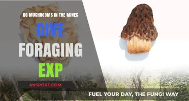Do Mine Mushrooms Grant Foraging Experience in Games?