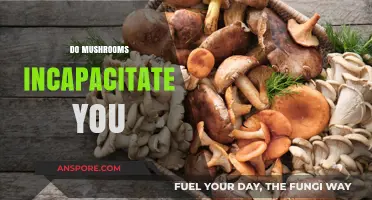 Mushroom Consumption: Incapacitation and Its Risks