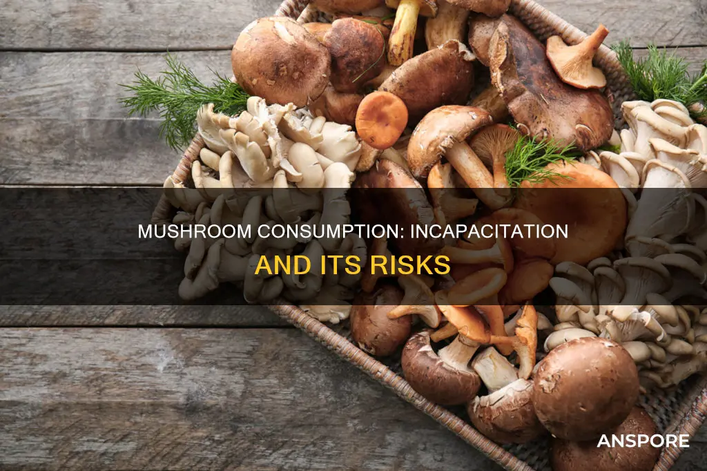 do mushrooms incapacitate you