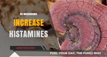 Mushrooms and Histamines: A Complex Relationship