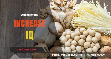 Mushroom Consumption: Can It Make You Smarter?