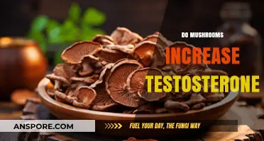 Mushrooms and Testosterone: Do They Boost It?