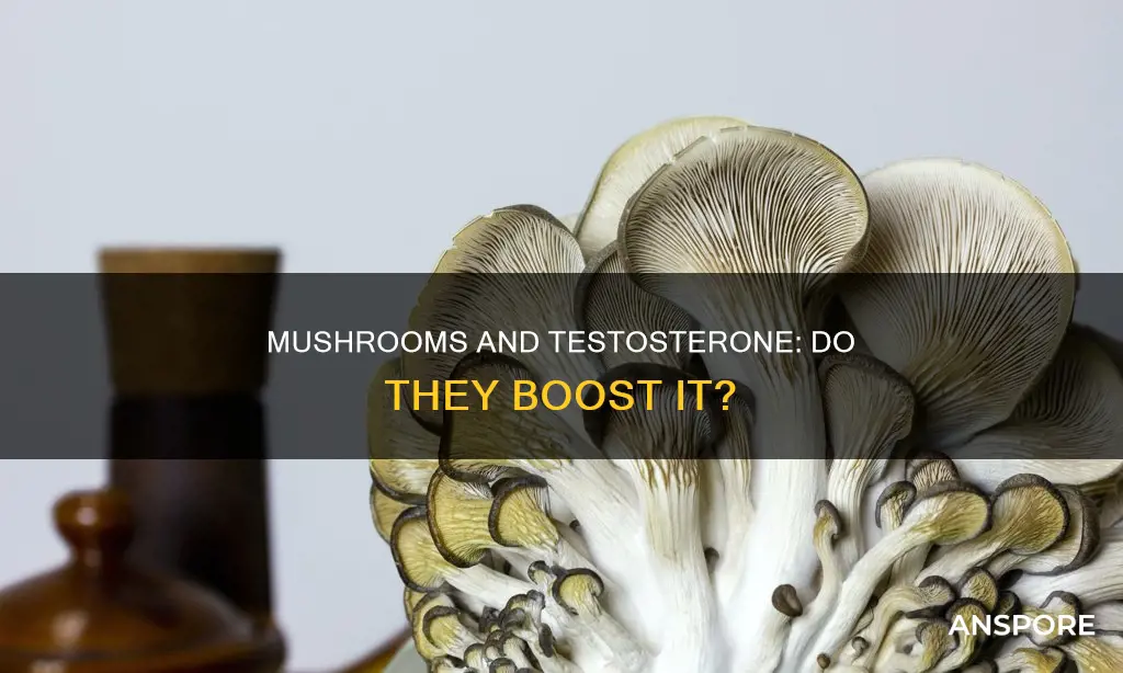 do mushrooms increase testosterone