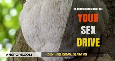 Can Mushrooms Boost Libido? Exploring Their Impact on Sex Drive