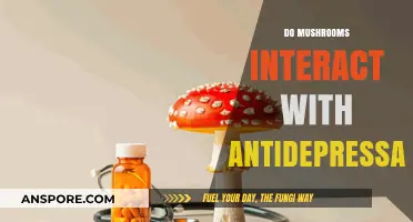Antidepressants and Mushrooms: A Risky Mix?