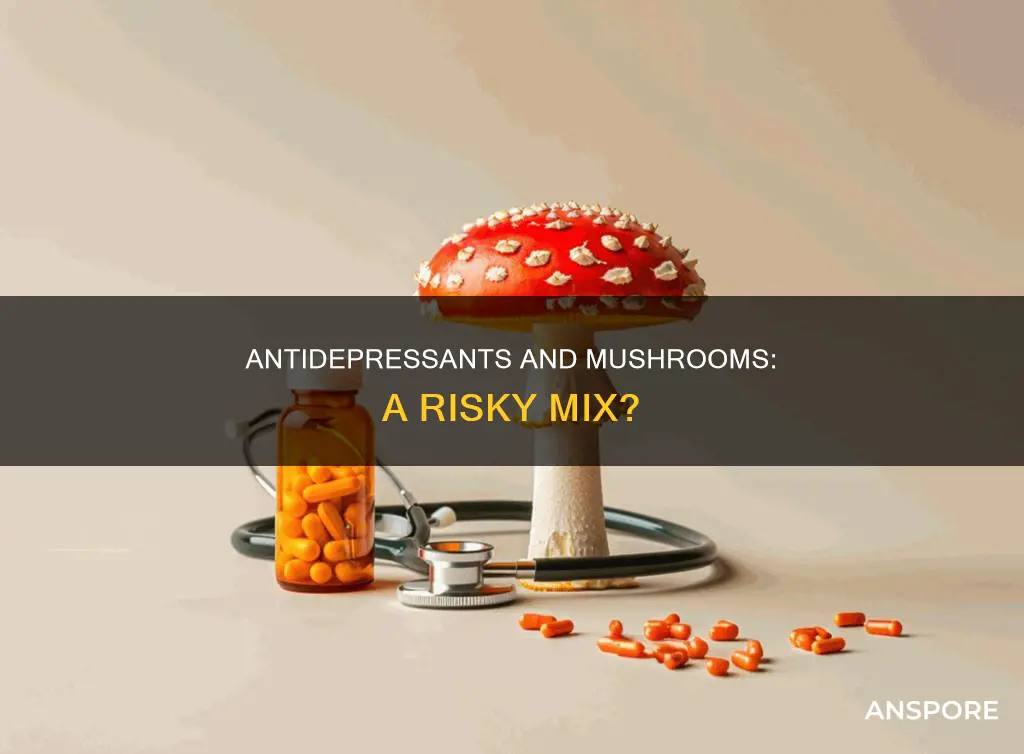 do mushrooms interact with antidepressants