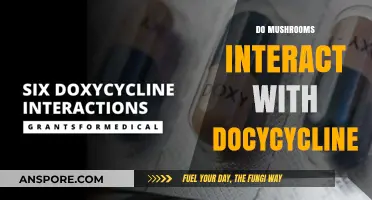 Antibiotics and Mushrooms: A Risky Mix?