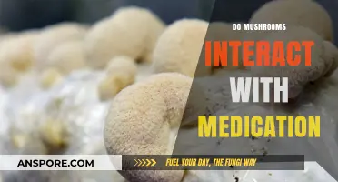Mushroom Consumption: Medication Interactions and Side Effects