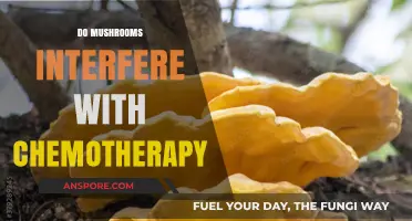 Mushrooms and Chemo: A Safe Mix?