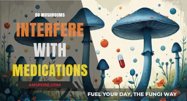 Mushroom-Medicine Interactions: What You Need to Know