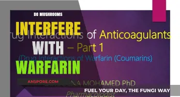 Warfarin and Mushrooms: A Risky Mix?