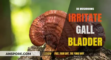 Mushrooms and Gallbladder: A Recipe for Irritation?