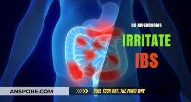 Mushrooms and IBS: What's the Connection?