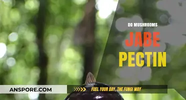 Mushrooms and Pectin: A Natural Pairing?