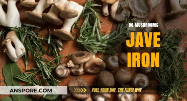 Mushrooms: Nature's Iron-Rich Superfood