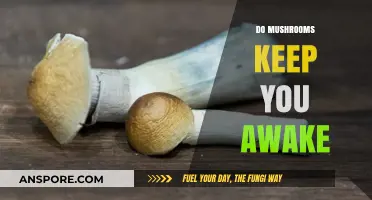 Mushrooms: Friend or Foe of Sleep?