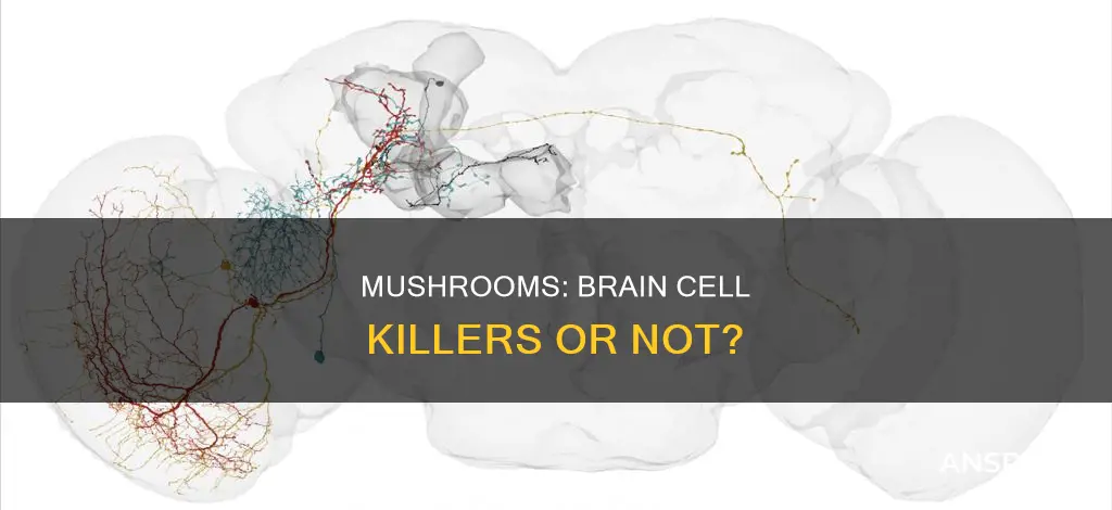 do mushrooms kill brain cells