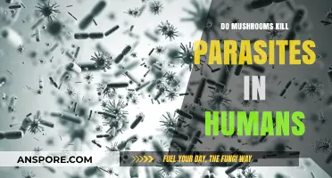 Mushrooms' Parasite-Fighting Power: Can They Kill Human Infections?