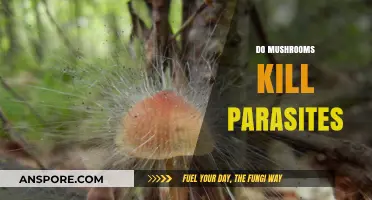 Mushrooms: Natural Parasite Killers?