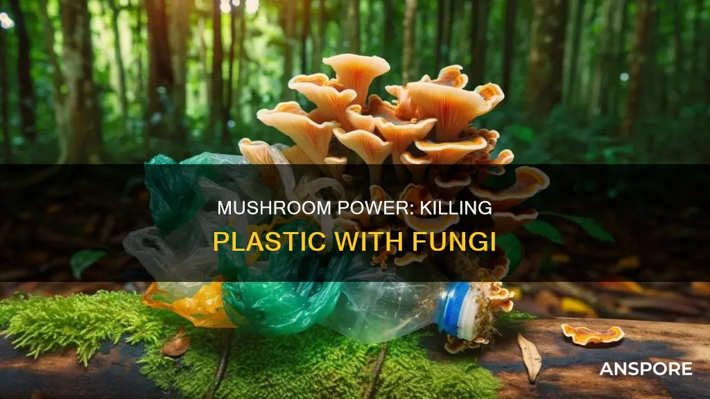 do mushrooms kill plastic
