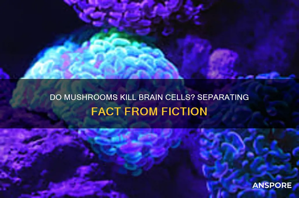 do mushrooms kill your brain cells