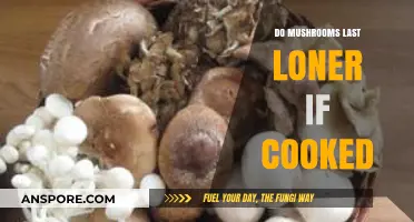 Cooked Mushrooms: Extending Shelf Life and Freshness Tips