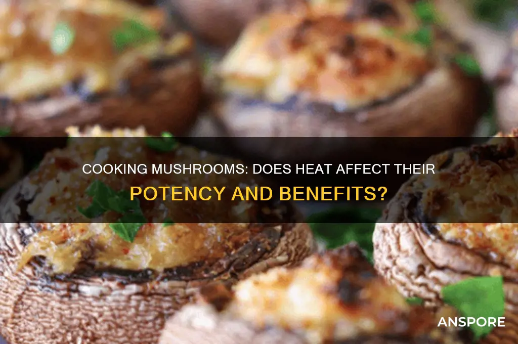 do mushrooms lose potency when cooked